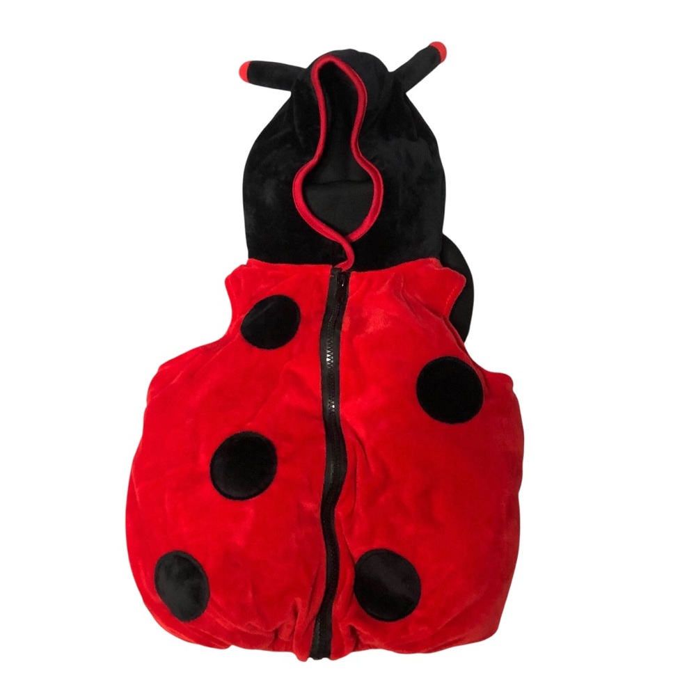 Fun of a Kind Lady‎ Bug Costume 18m - Picture 3 of 6